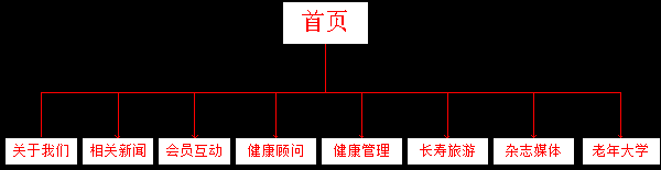 老年網(wǎng)站建設(shè)框架及欄目規(guī)劃